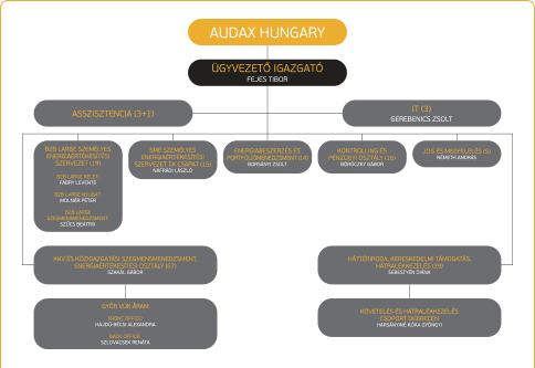 audax-szervezeti-abra